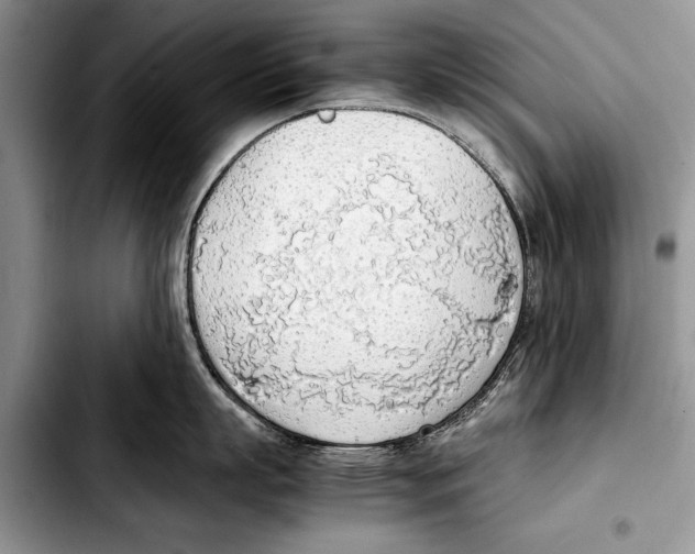 X0000103410863200810100954