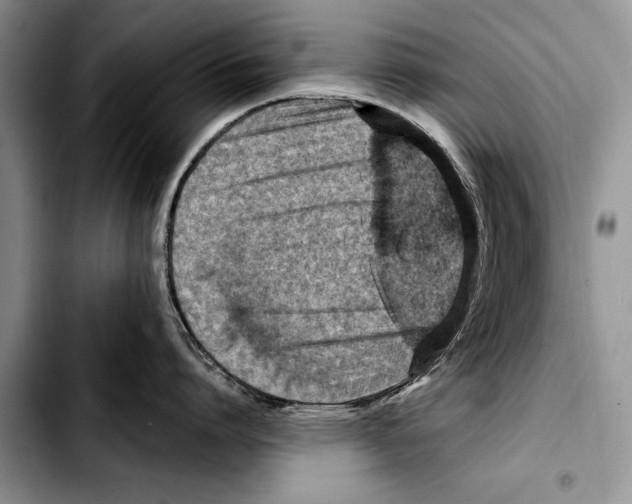 X0000103410864200810100954