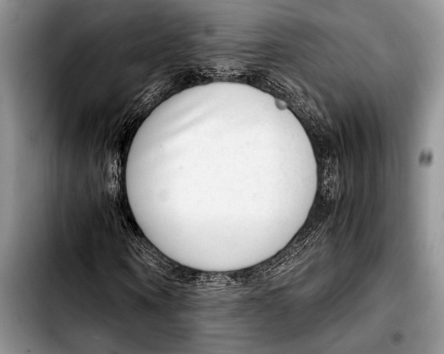 X0000103410866200810100954