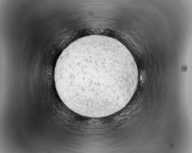 X0000103410867200810100954