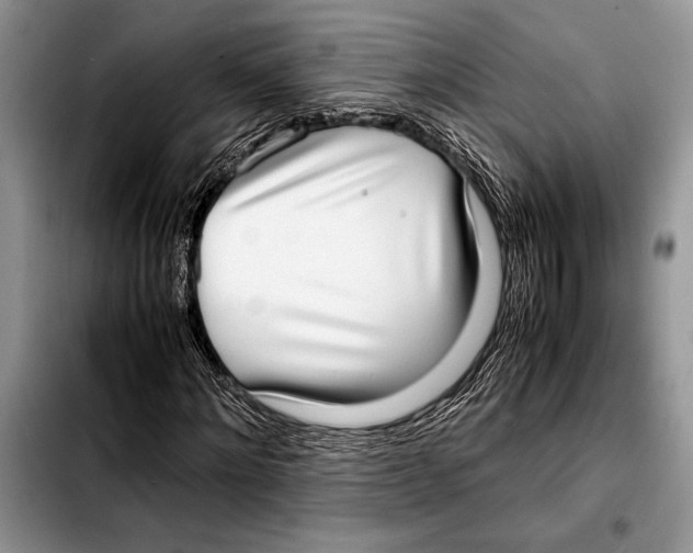 X0000103410868200810100954