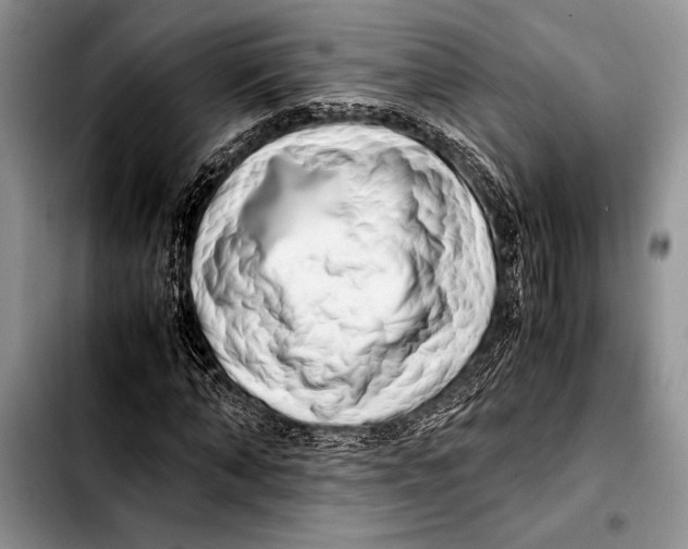 X0000103410870200810100954