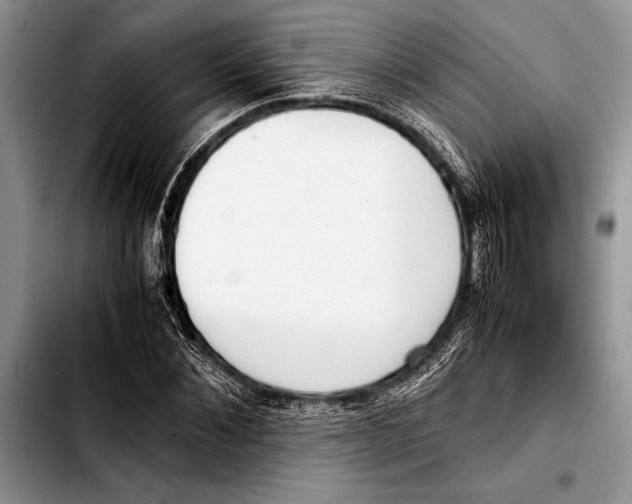 X0000103410876200810100954