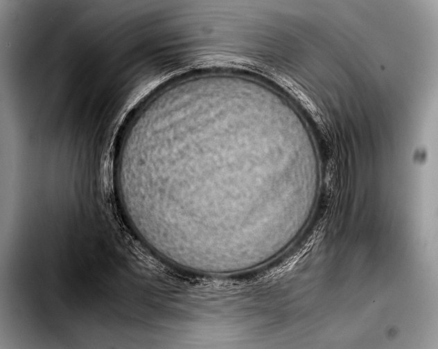 X0000103410877200810100954