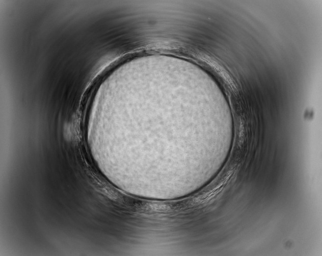 X0000103410878200810100954