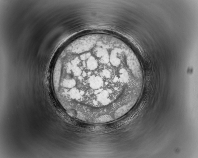 X0000103410879200810100954