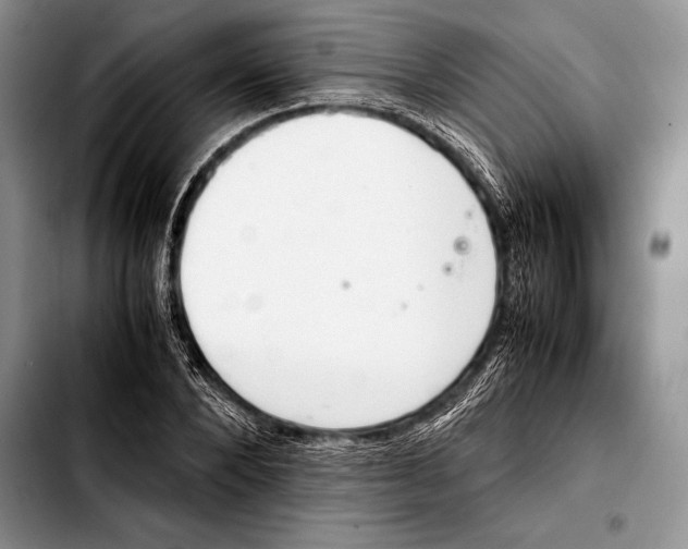 X0000103410880200810100954