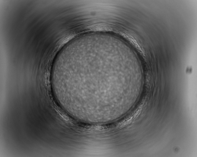 X0000103410881200810100954