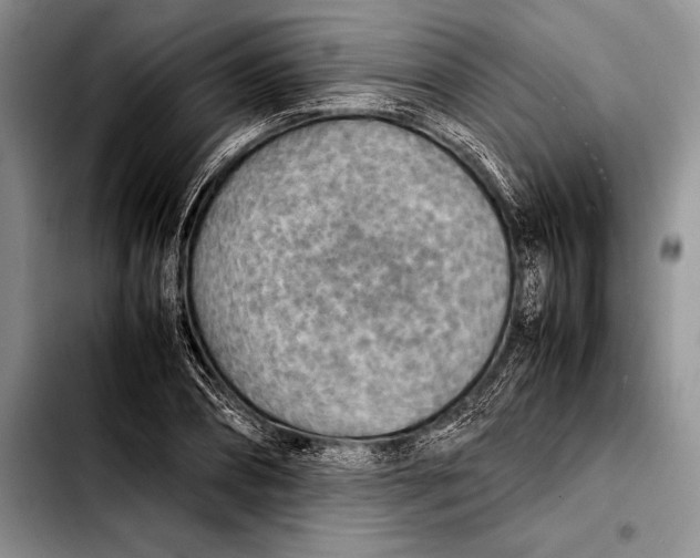 X0000103410882200810100954