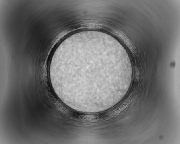 X0000103410883200810100954