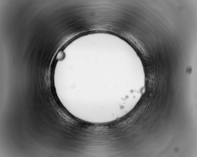 X0000103410884200810100954