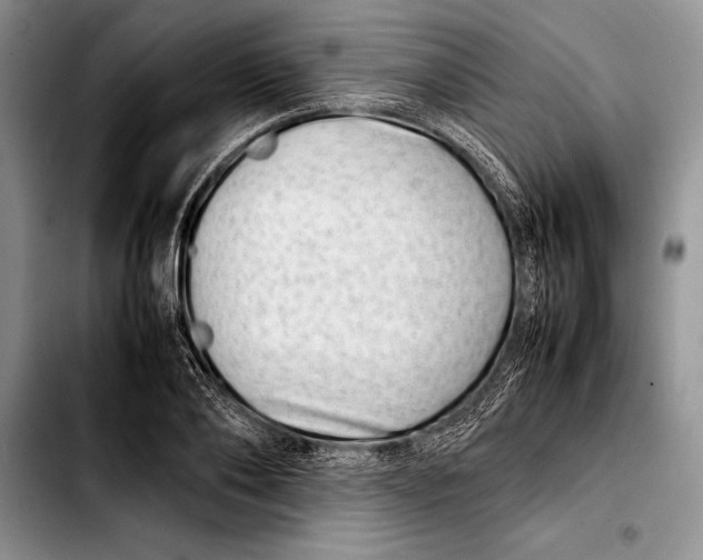 X0000103410886200810100954