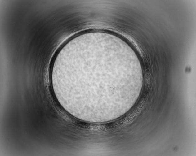 X0000103410887200810100953