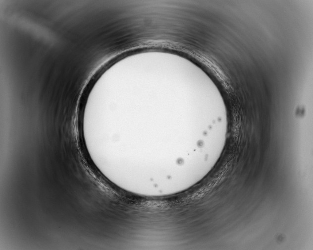 X0000103410888200810100953