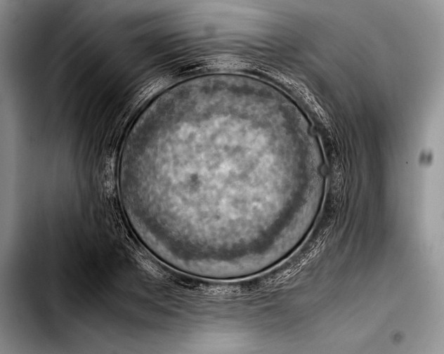 X0000103410889200810100953