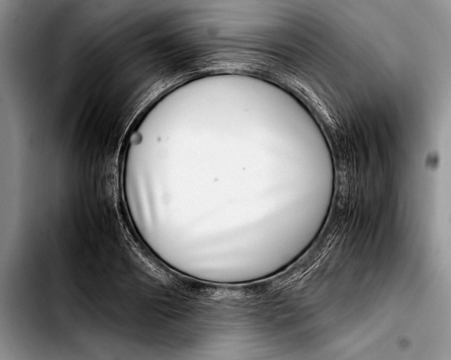 X0000103410890200810100953