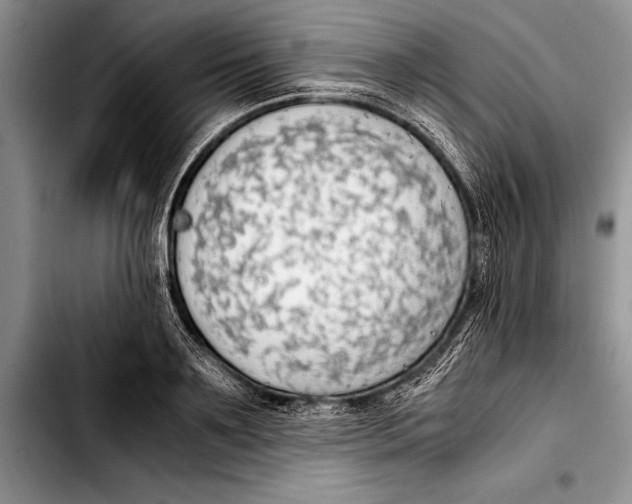 X0000103410891200810100953