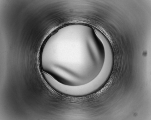 X0000103410893200810100953