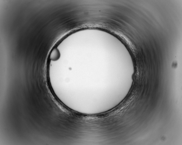 X0000103410894200810100953