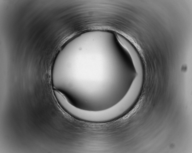 X0000103410897200810100953