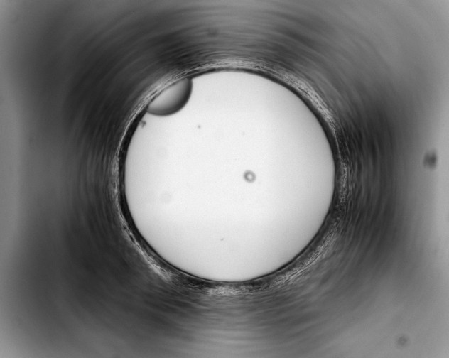 X0000103410898200810100953