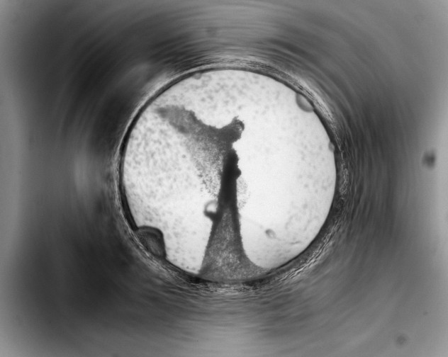 X0000103410899200810100953