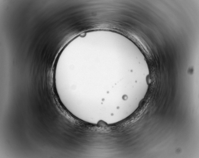 X0000103410900200810100953