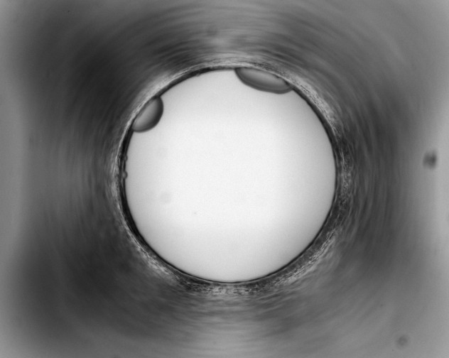 X0000103410901200810100953