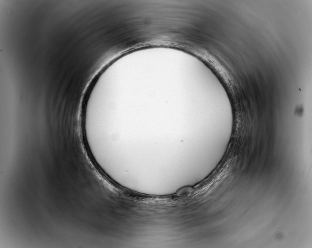 X0000103410902200810100953