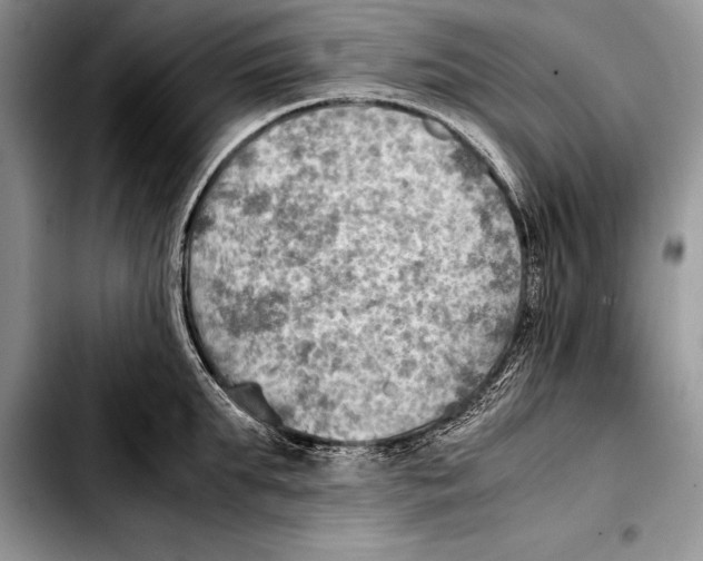 X0000103410903200810100953