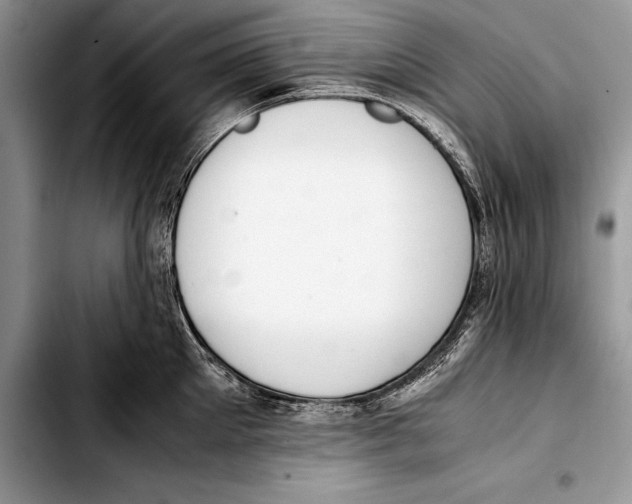 X0000103410905200810100953