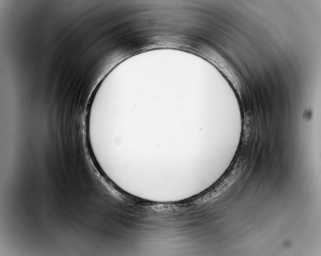 X0000103410906200810100953