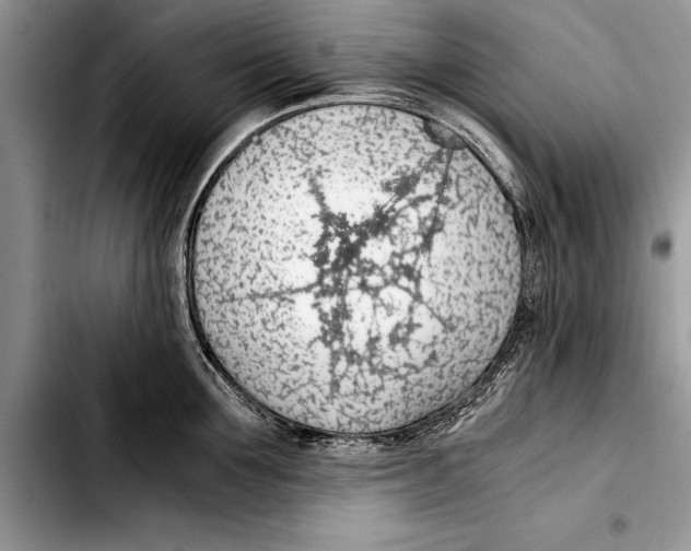 X0000103410907200810100953