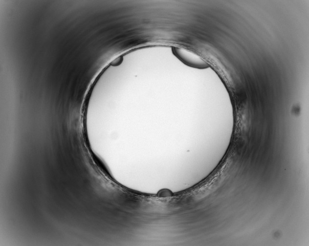 X0000103410908200810100953