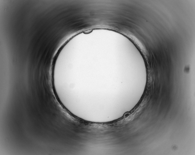 X0000103410910200810100953