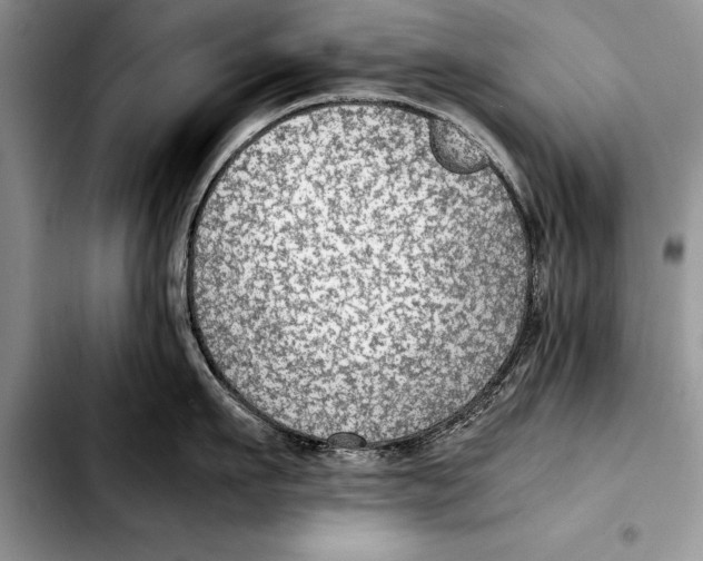 X0000103410911200810100953