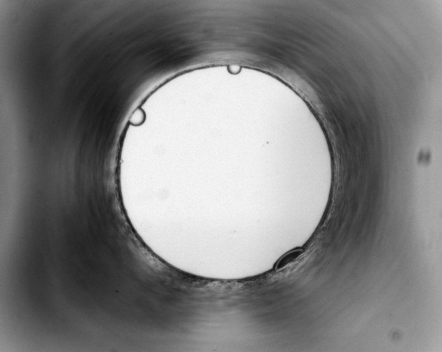 X0000103410912200810100953