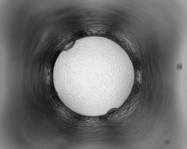 X0000103410915200810100953