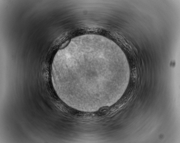 X0000103410916200810100953