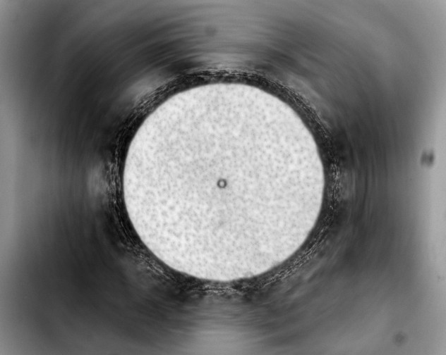 X0000103410918200810100953