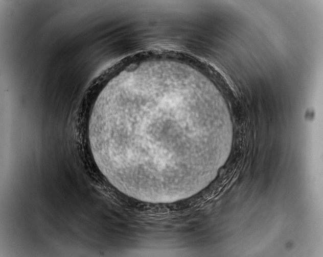 X0000103410919200810100953