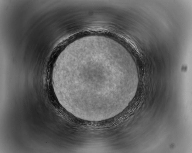 X0000103410920200810100953