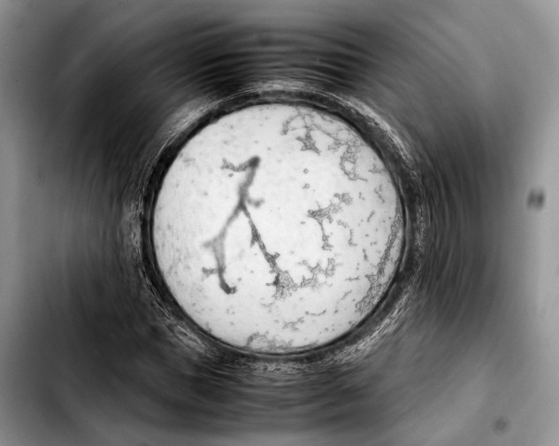 X0000103410921200810100953