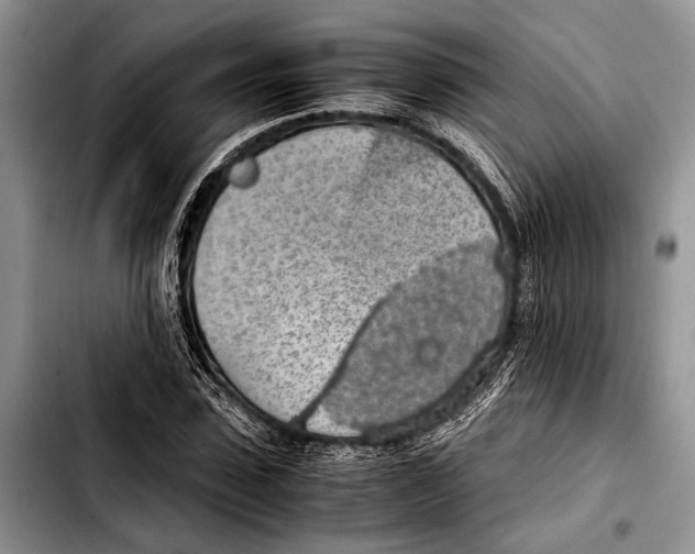 X0000103410923200810100953