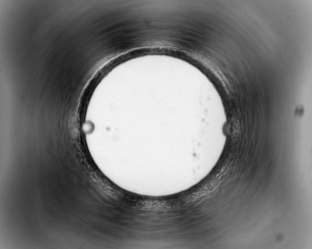 X0000103410927200810100953