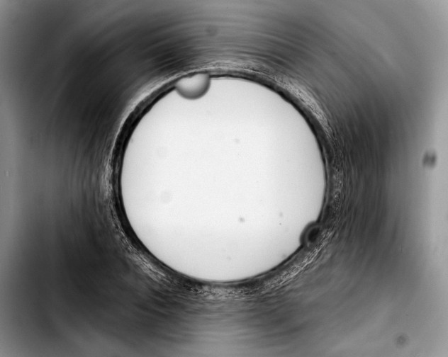 X0000103410928200810100953