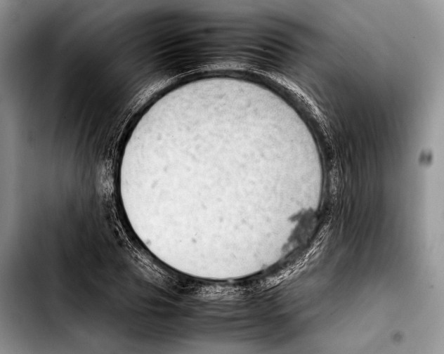 X0000103410929200810100953