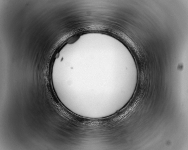 X0000103410930200810100953