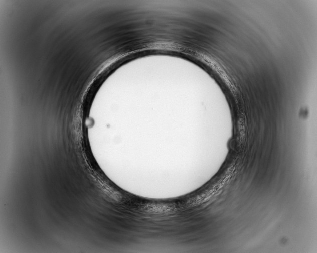 X0000103410931200810100953