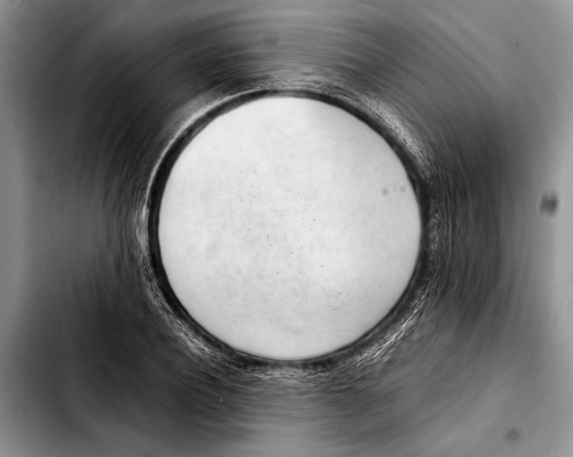 X0000103410932200810100953